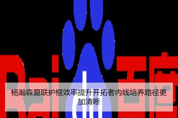 杨瀚森夏联护框效率提升开拓者内线培养路径更加清晰